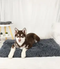 Plush Dog Mat Pet Bed