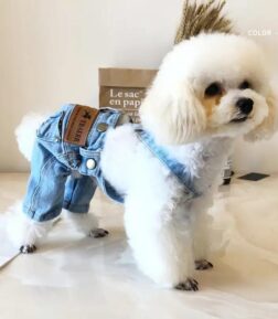 Denim Dog Jacket
