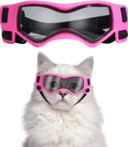 UV Protection Sunglasses for Cats and Small Dogs