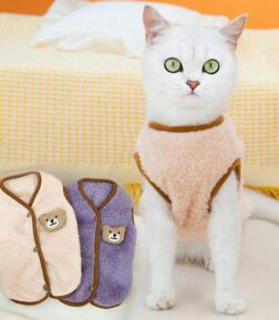 Soft and Cozy Kitten Cardigan Sweater