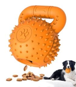 Durable Dog Chew Toy for Aggressive Chewers