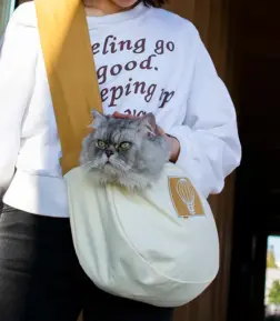 Canvas Cat & Small Dog Carrier Bag