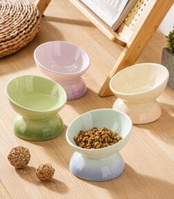 Gradient Ceramic Cat Bowl
