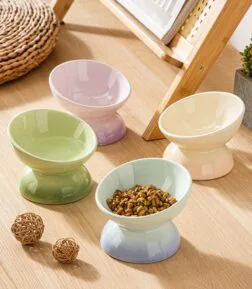 Gradient Ceramic Cat Bowl