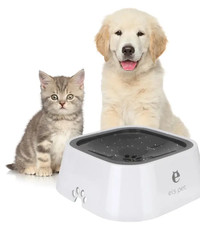 0dd7e8a1778d15147620e610dc797ab6.webp 0dd7e8a1778d15147620e610dc797ab6.webp