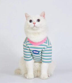 Autumn Pet Hoodie - Long Sleeve Pullover for Small and Medium Dogs and Cats