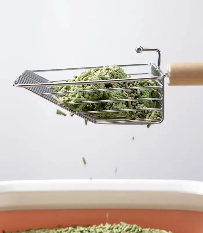 102fd5952e2f01951719d86d9b307f9c.webp 102fd5952e2f01951719d86d9b307f9c.webp