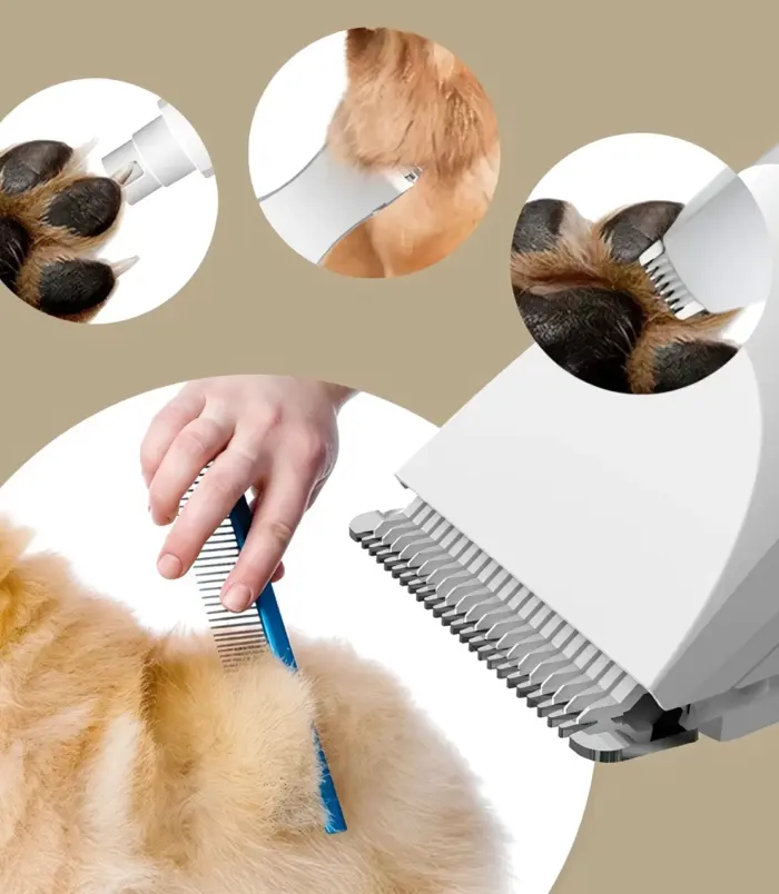 11d8f0ab6299882f8c565883afbc65f2.webp 11d8f0ab6299882f8c565883afbc65f2.webp