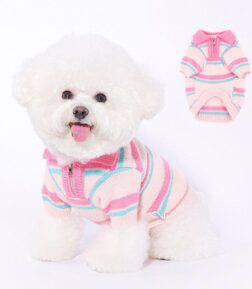 Cozy Knitted Dog Sweater