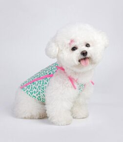Cooling Summer Dog Vest