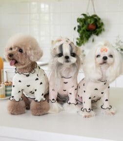 Embroidered Bear Waffle Vest for Pets