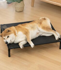 Summer Elevated Dog Bed