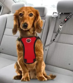 Adjustable Dog Car Seat Belt