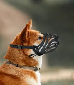 Adjustable Breathable Silicone Dog Muzzle