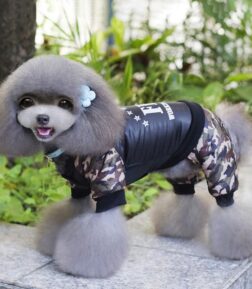 Winter Camouflage Pet Jacket
