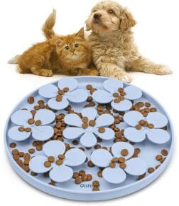 Silicone Pet Slow Feeder and Snuffle Mat
