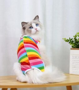 Anti-Licking Pet Surgery Suit