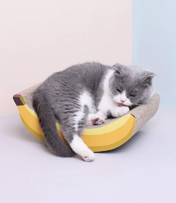 22df404ef593c8a9b6fc3f741685b318.jpg 22df404ef593c8a9b6fc3f741685b318.jpg