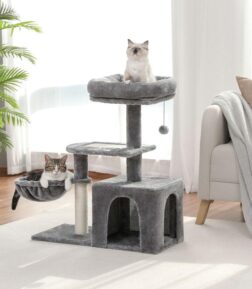 Compact 31.5" Cat Tree Condo