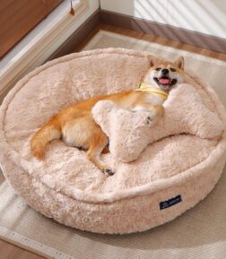 Luxury Pet Bed