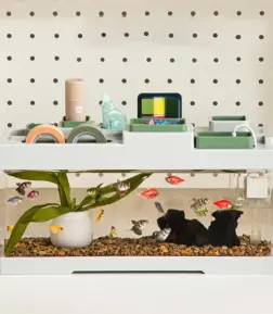 Acrylic Desktop Aquarium with Storage & LED Light