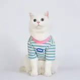 2c1c410c1e4831ff7ce14d45d1776ef4.webp