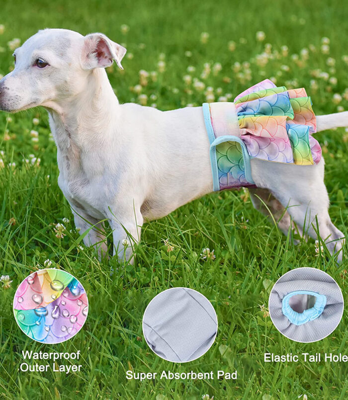 2c29ce050b3c68e1feb157afb286db87.jpg