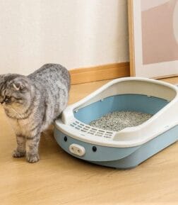 Oversized Semi-Enclosed Cat Litter Box