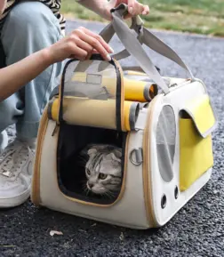 Deluxe Folding Pet Carrier Bag for Small Dogs & Cats