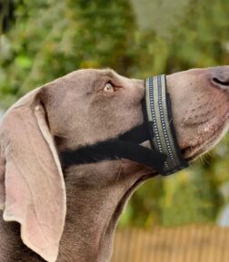 Reflective Nylon Dog Muzzle