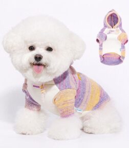Cozy Hooded Sweater