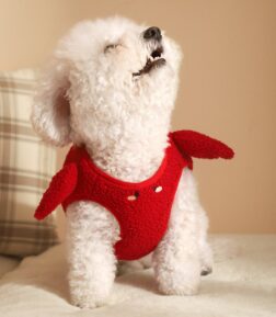 Soft Pet Vest Harness for Small Dogs and Cats