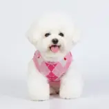 35f374826e8f8e7aa674d2a8cd1069fb.webp