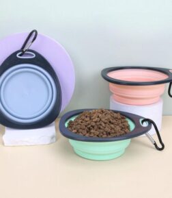 Collapsible Portable Pet Bowl