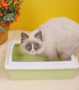 Fully Enclosed Cat Litter Box