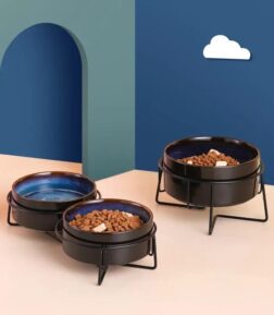 Double Cat Food Bowls with Iron Stand - Starry Pet Feeding Bowls for Cats and Small Dogs