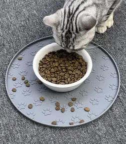 Silicone Pet Feeding Mat