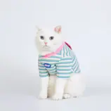3b4fa846d97af09d7cb4bb958cb9ac71.webp