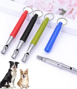 Portable Dog Agility Training Equipment
