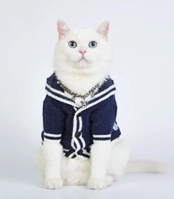 Autumn/Winter Dog Cardigan