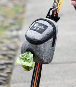 Ultimate Portable Dog Training Treat Bag: Your Dog's Best Companion