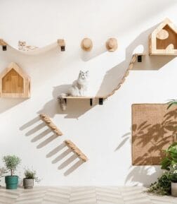 Cat Climbing Shelf