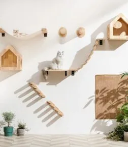 Cat Climbing Shelf