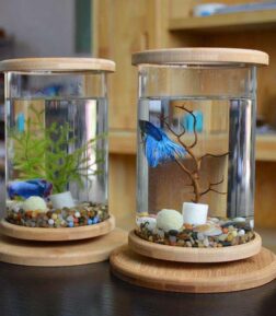 Rotatable Mini Fish Tank