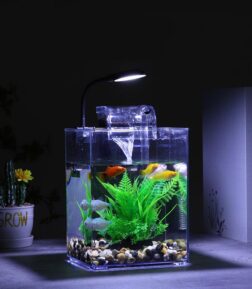 USB-Powered Desktop Fish Tank with LED Lights