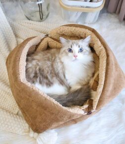Premium Cozy Foldable Pet Bed & Mat
