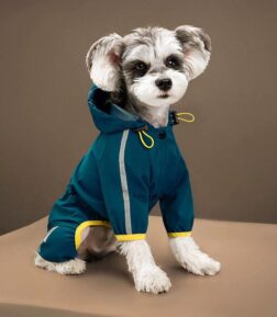 Waterproof Pet Raincoat