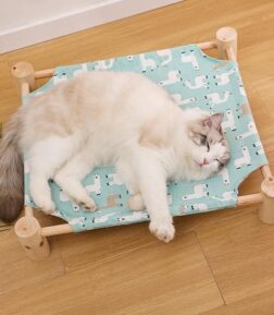 Outdoor & Indoor Cat Bed House
