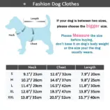 4ac0ec1f08ceaba0a93922a61ae94a1e.webp