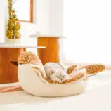 4bf722fc00a821242438bf76bc13c0ab.webp